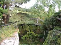 Ci� che resta dello stagno